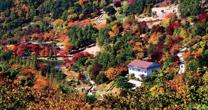 Four Seasons of Gyeongsanbuk-do Arboretum
