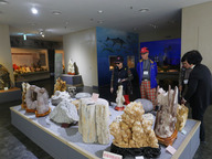 化石博物馆内部参观