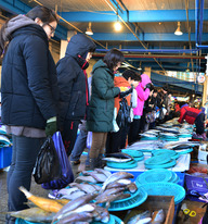 竹岛市场与鱼市